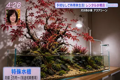 テレビで紹介されたアクアリウム業者 HealingSpace